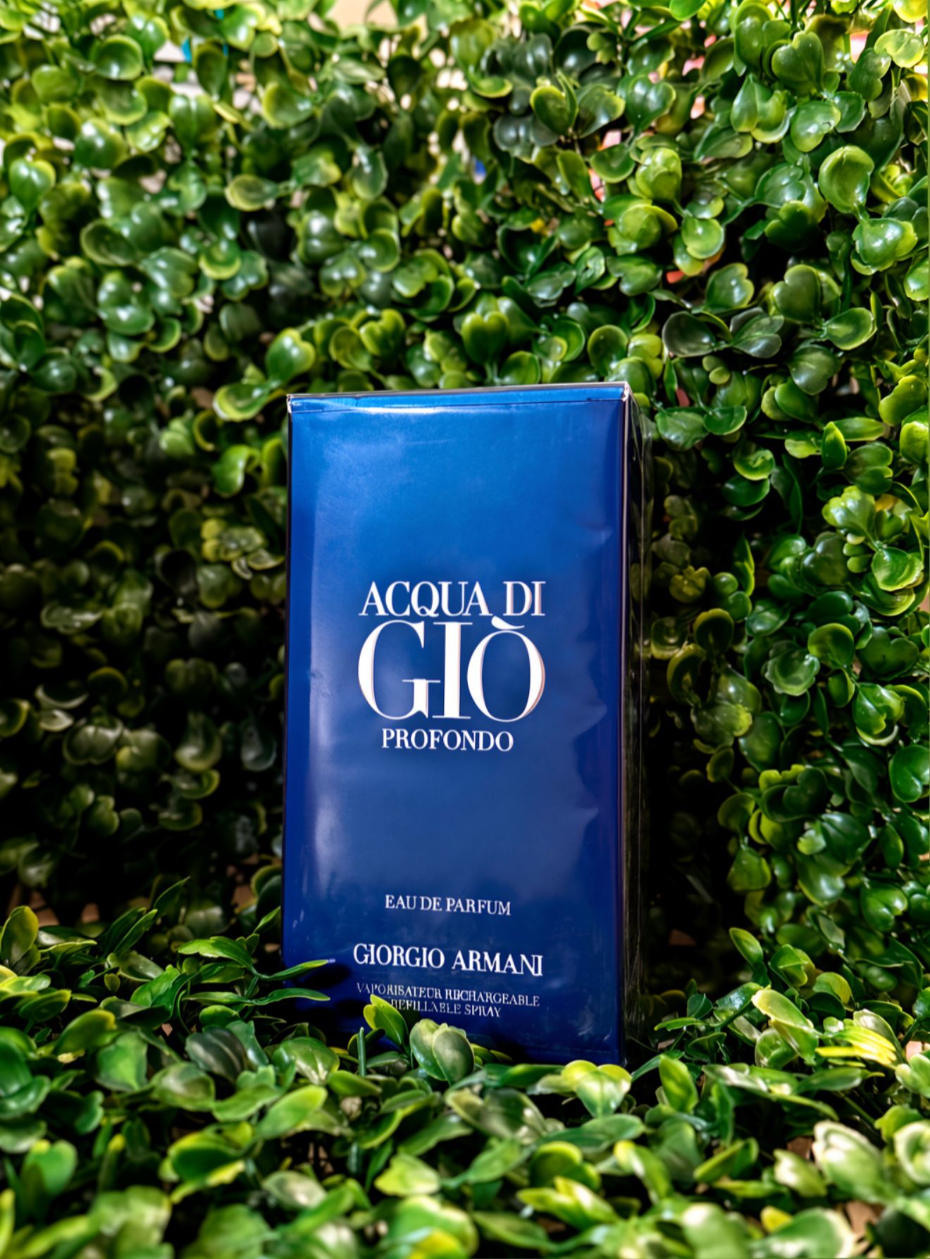 Giorgio Armani Acqua di Giò Profondo Eau de Parfum 100 ml